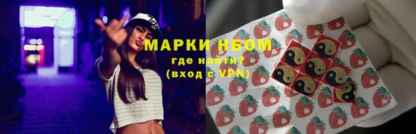 дмт Краснослободск