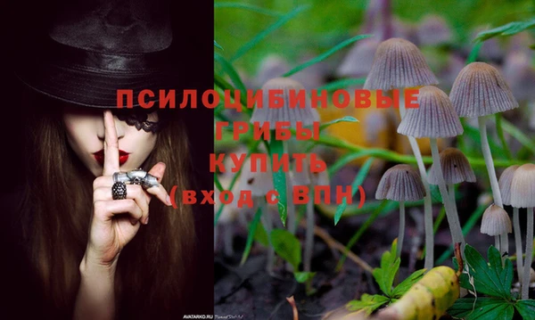 хмурый Армянск