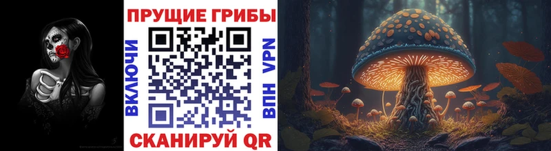Псилоцибиновые грибы Psilocybine cubensis  mega онион  Сим 